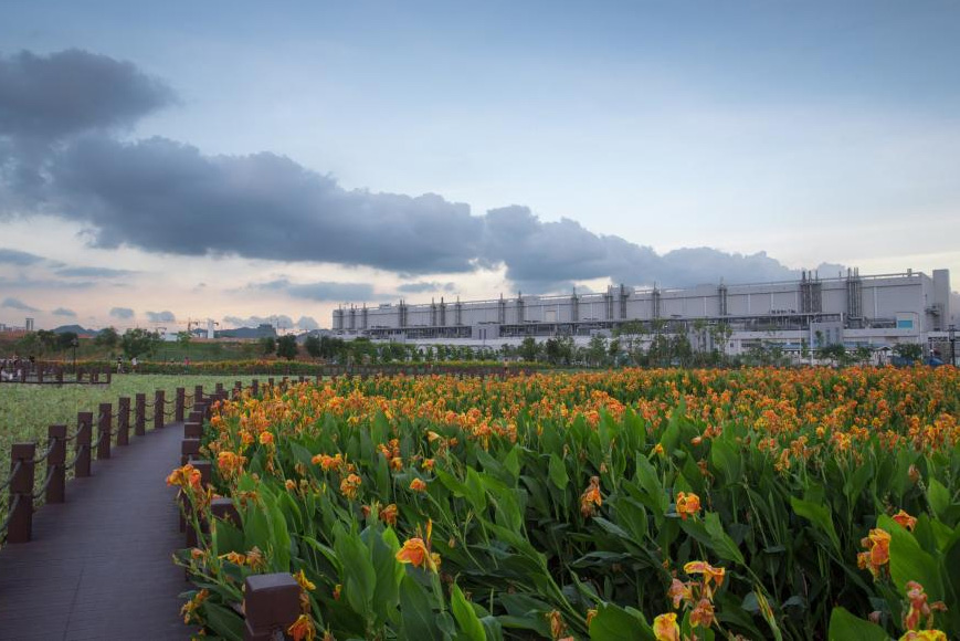 TCL 华星湿地公园